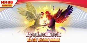 Đặc điểm chung của đá gà Thomo MM88