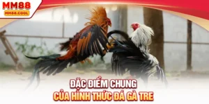 Đặc điểm chung của hình thức đá gà tre