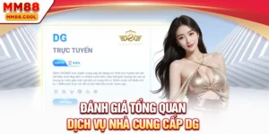 Đánh giá tổng quan dịch vụ nhà cung cấp DG