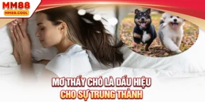 Mơ thấy chó là dấu hiệu cho sự trung thành