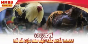 Sơ lược về đá gà cựa dao đặc sắc nhất MM88