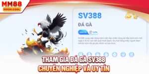 Tham gia đá gà SV388 chuyên nghiệp và uy tín