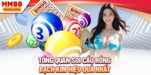 Tổng quan soi cầu rồng bạch kim hiệu quả nhất